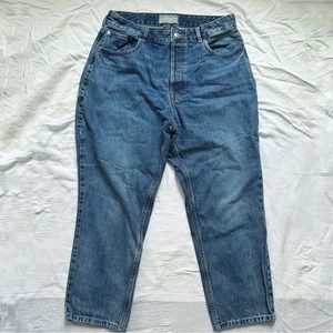 Everlane The Curvy 90’s Cheeky Straight Jean 32 Crop